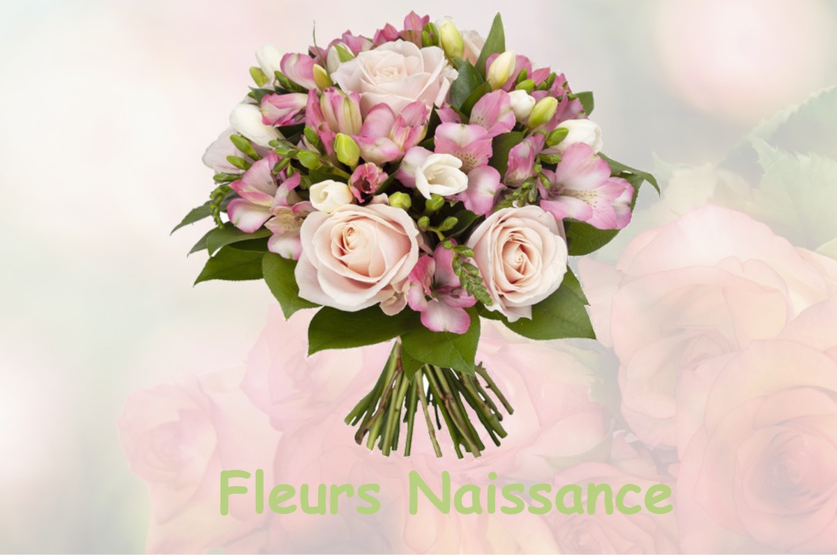 fleurs naissance CHIMILIN